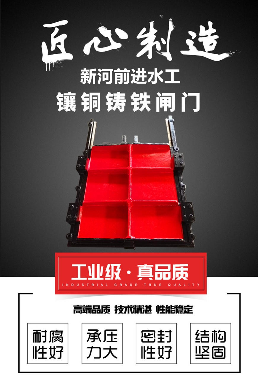 铸铁91短视频污下载启闭机